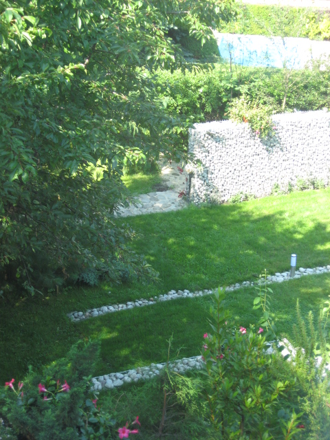 Trawnik w ogrodzie naturalnym
